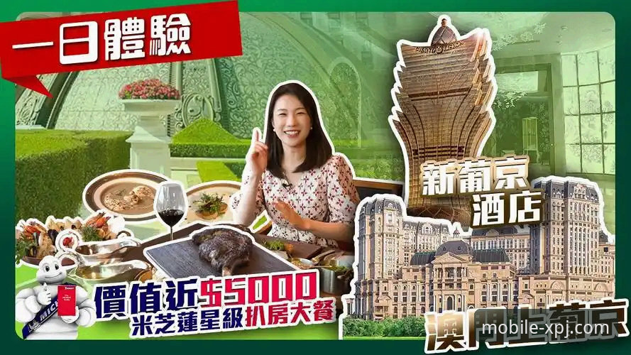 新浦京娱乐城移动体验全面评测：深度解析新浦京13677安卓版v2.0.5