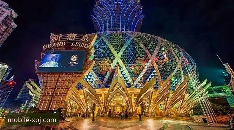 新浦京娱乐城移动端下载实用指南：从官网到安装一步到位