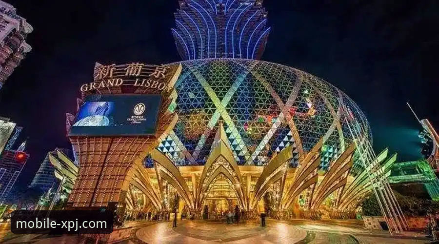 最新新浦京13677官方免费下载 新浦京娱乐城移动端 vs 电脑版:官方免费下载与功能深度对比分析