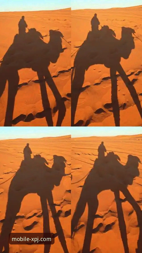 沙漠天堂的等待与指尖的流畅：顶级赛事的不确定性 vs 移动体验的确定性