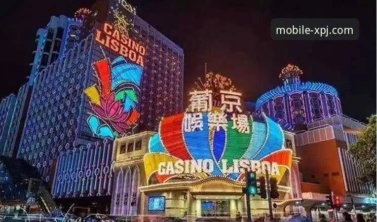 新浦京娱乐城移动端更新实用指南：从下载到安全畅玩的必备知识