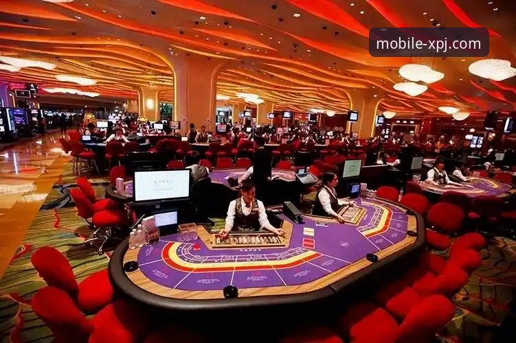 新浦京娱乐城移动端全面评测：深度解析13677版本更新带来的体验革新